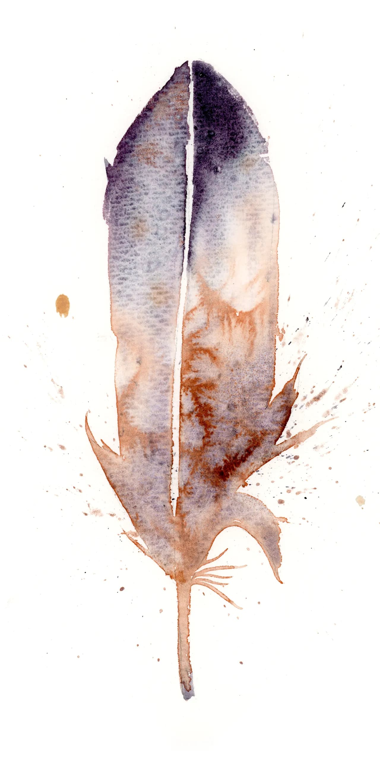 Common Raven — watercolor by Shayna Larsen