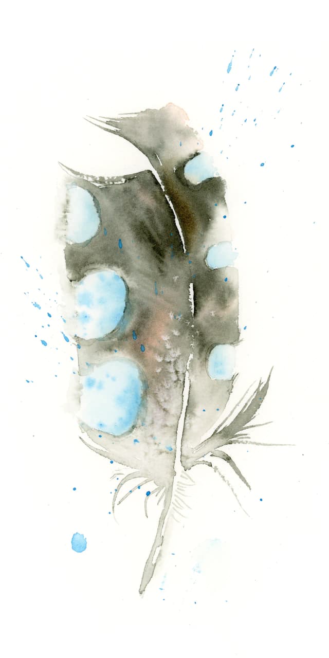 Guinea Fowl — watercolor by Shayna Larsen