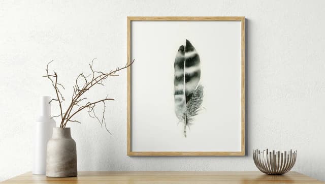 Hawk shown in a room setting