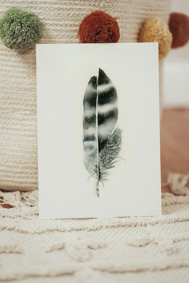 Hawk shown in a room setting