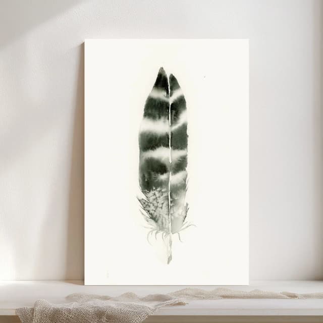 Hawk shown in a room setting