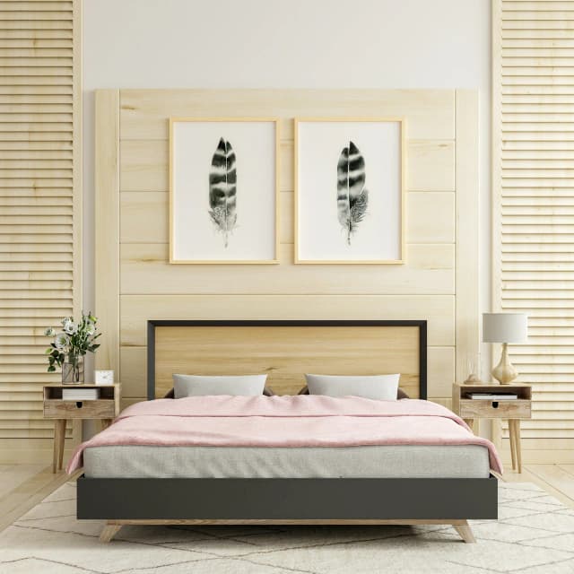 Hawk shown in a room setting