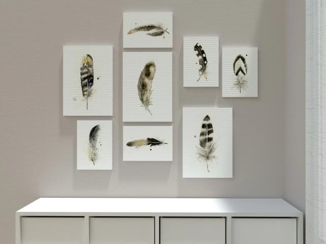 American Crow shown in a room setting