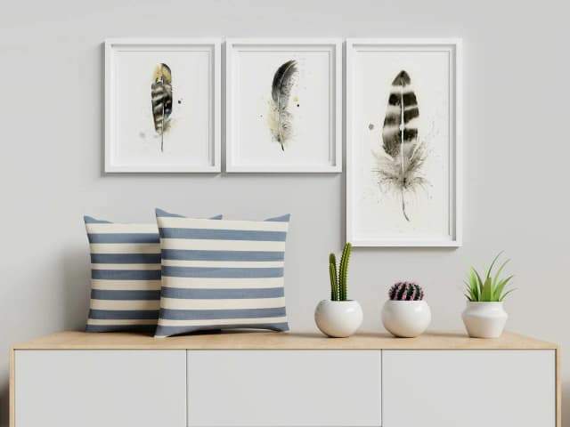 American Crow shown in a room setting
