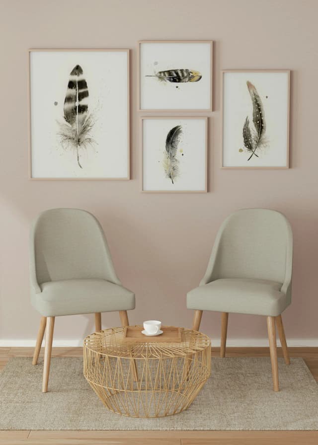 American Crow shown in a room setting