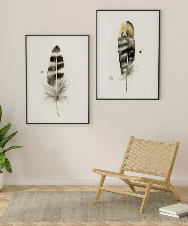 American Crow shown in a room setting