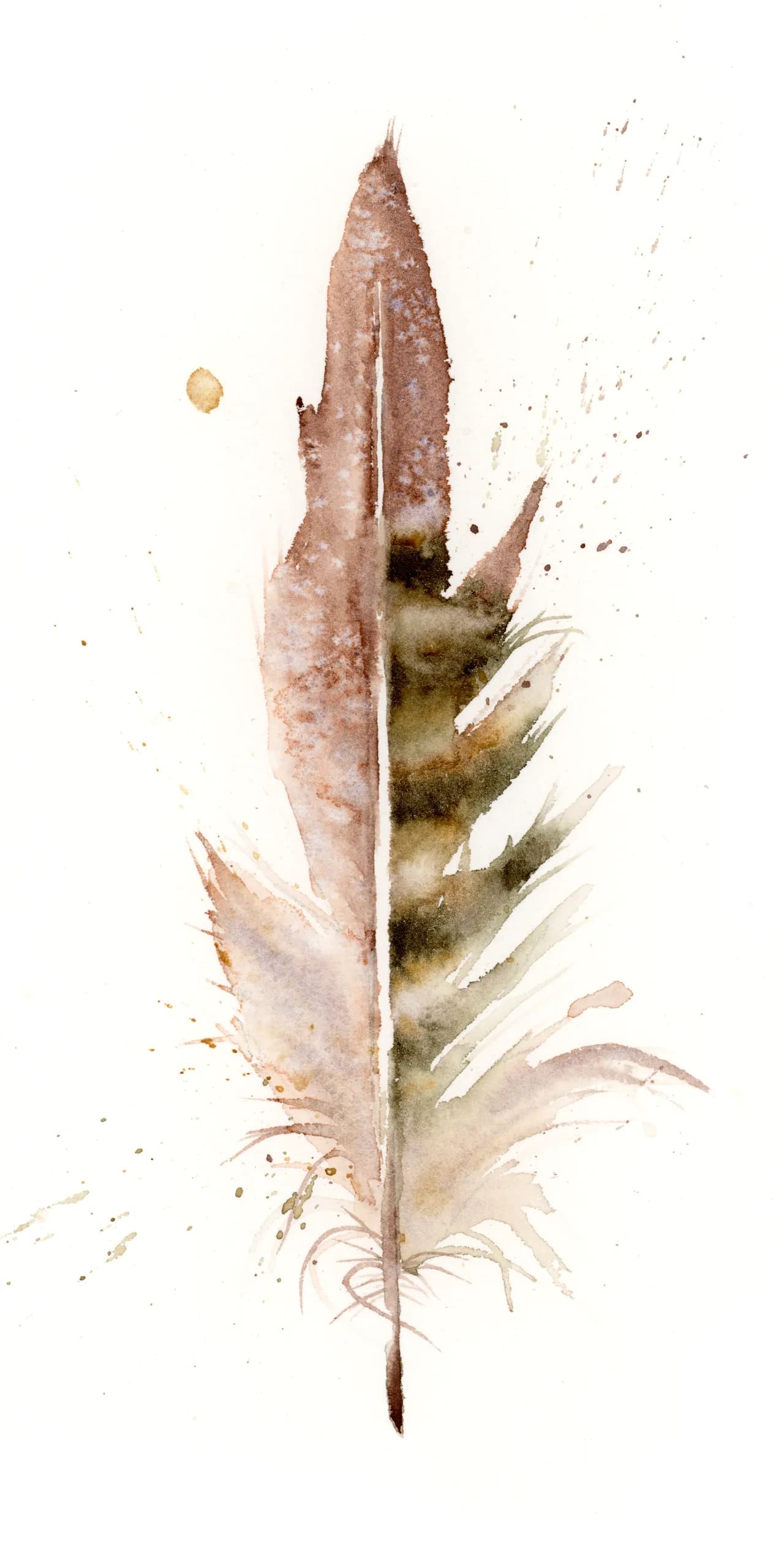 Pheasant — watercolor by Shayna Larsen