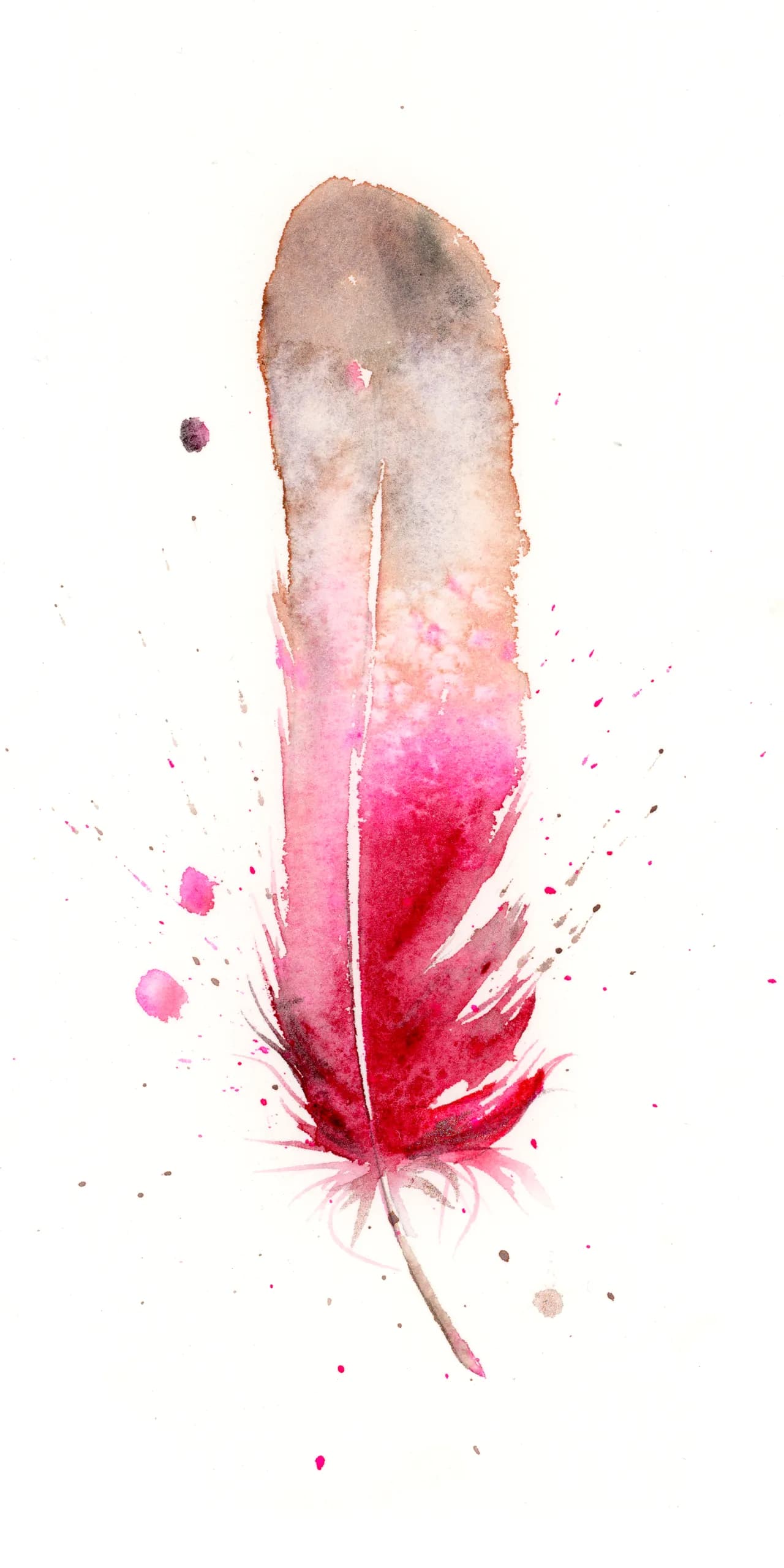 Female Cardinal — watercolor by Shayna Larsen