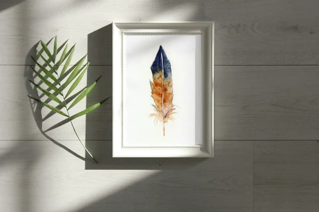 Blue Jay shown in a room setting