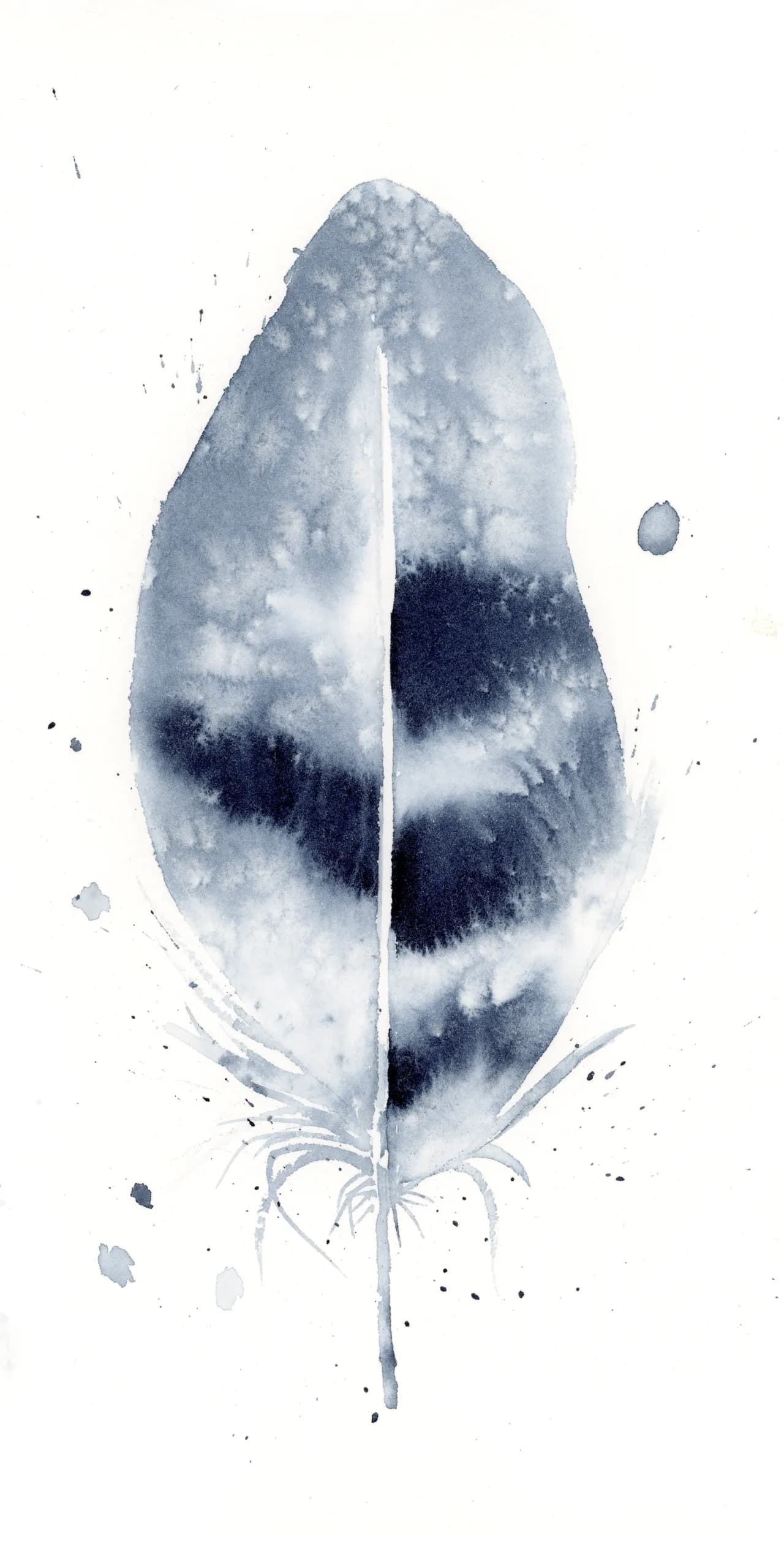 Blue Jay — watercolor by Shayna Larsen