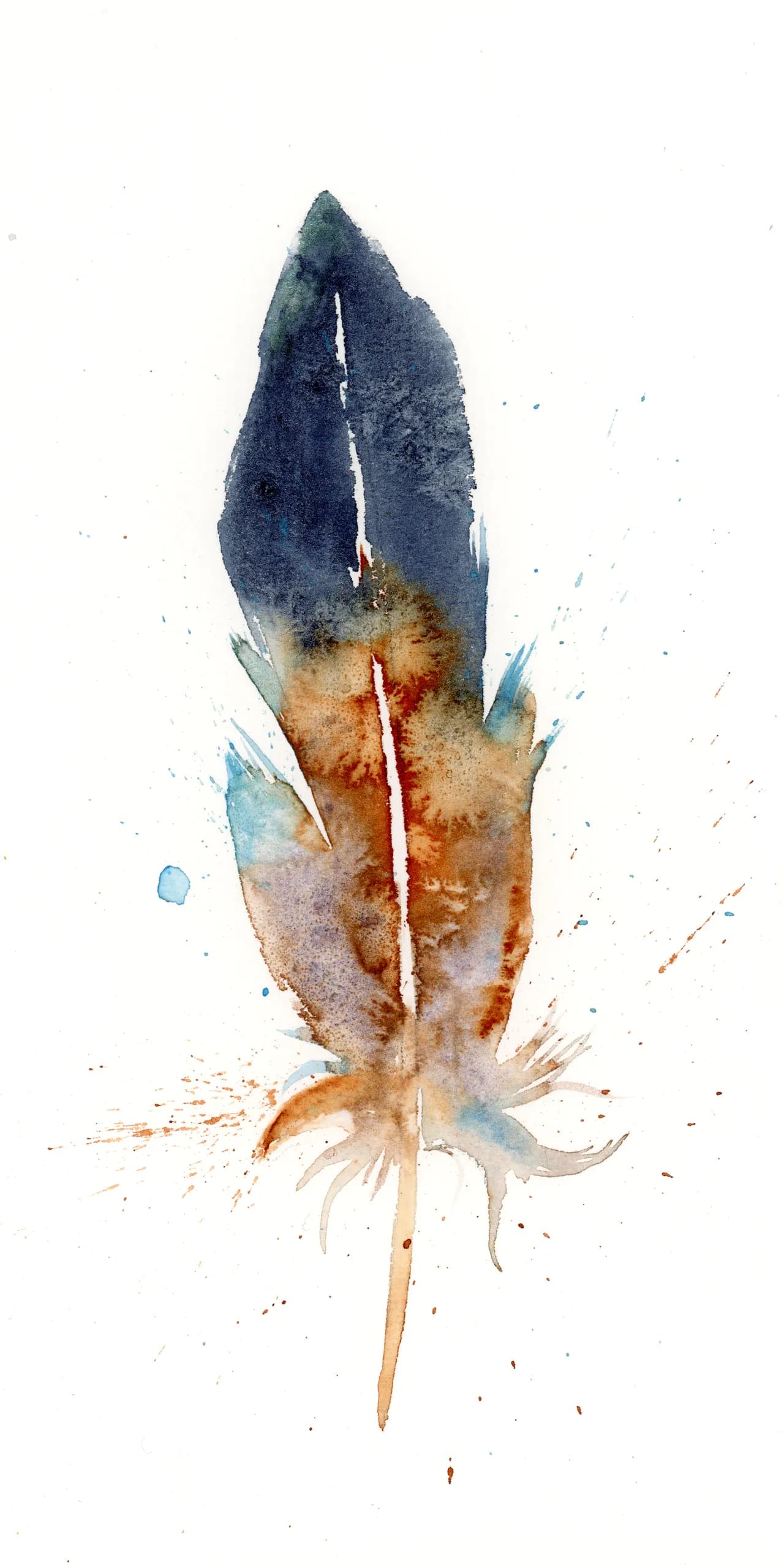 American Woodcock — watercolor by Shayna Larsen