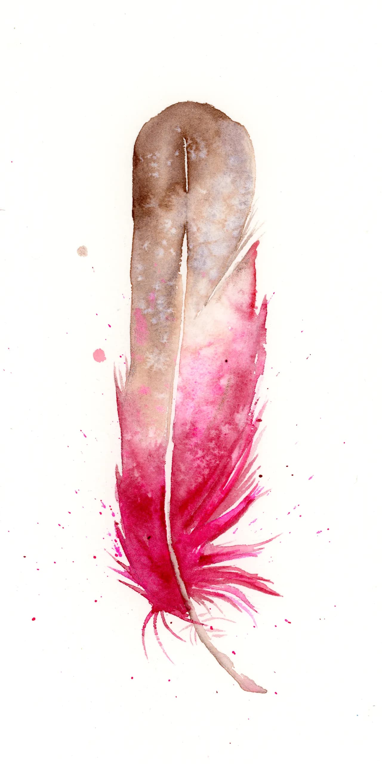 Female Cardinal — watercolor by Shayna Larsen