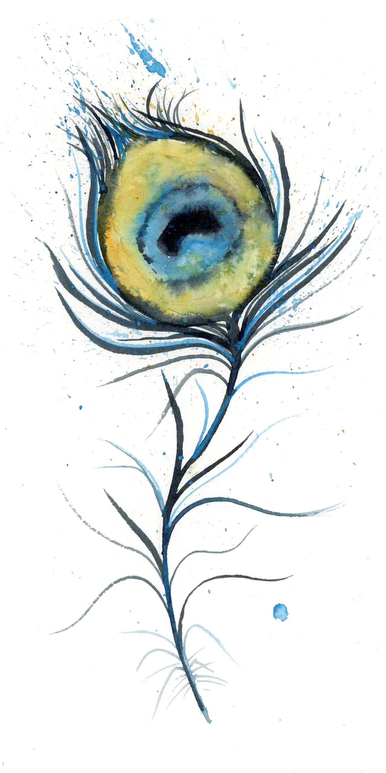 Peacock — watercolor by Shayna Larsen