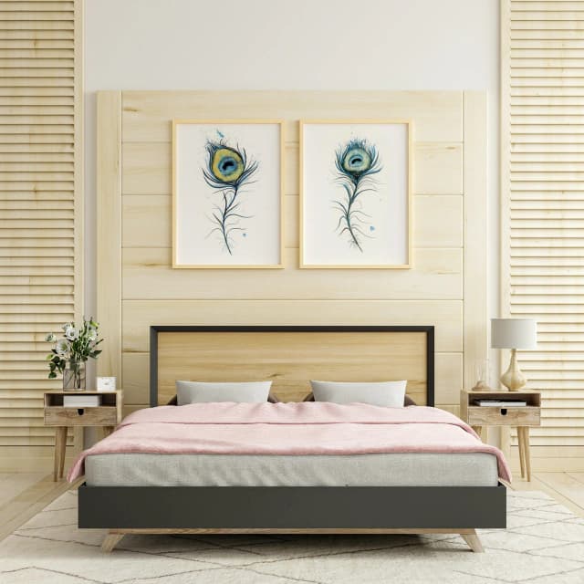 Peacock shown in a room setting