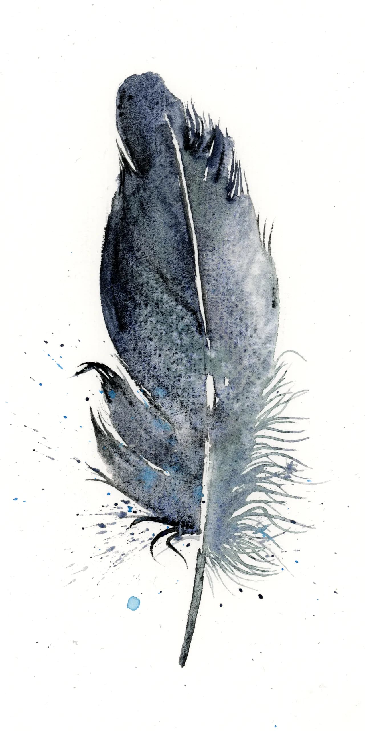 Black Swan — watercolor by Shayna Larsen