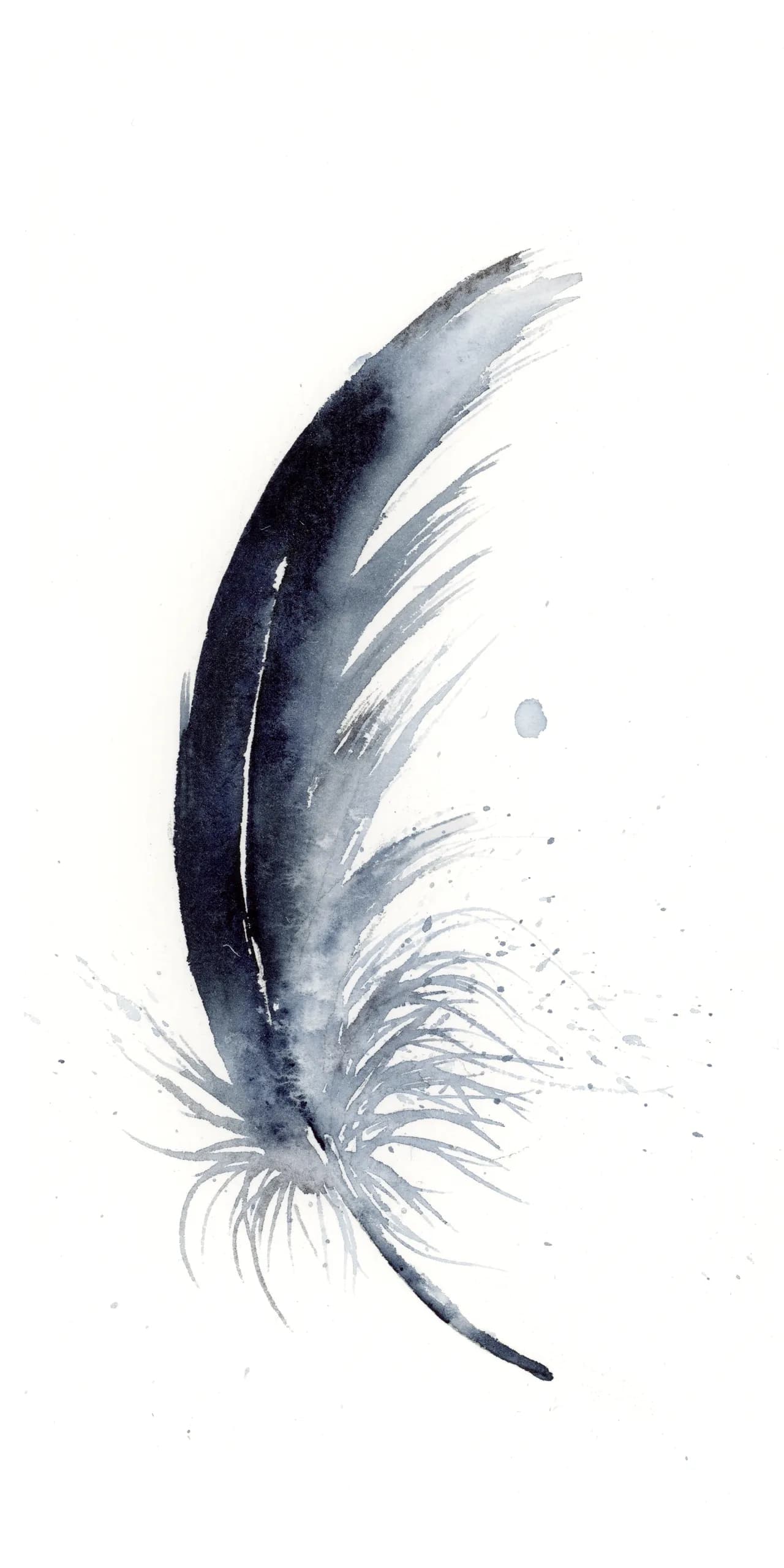 Black Crow — watercolor by Shayna Larsen