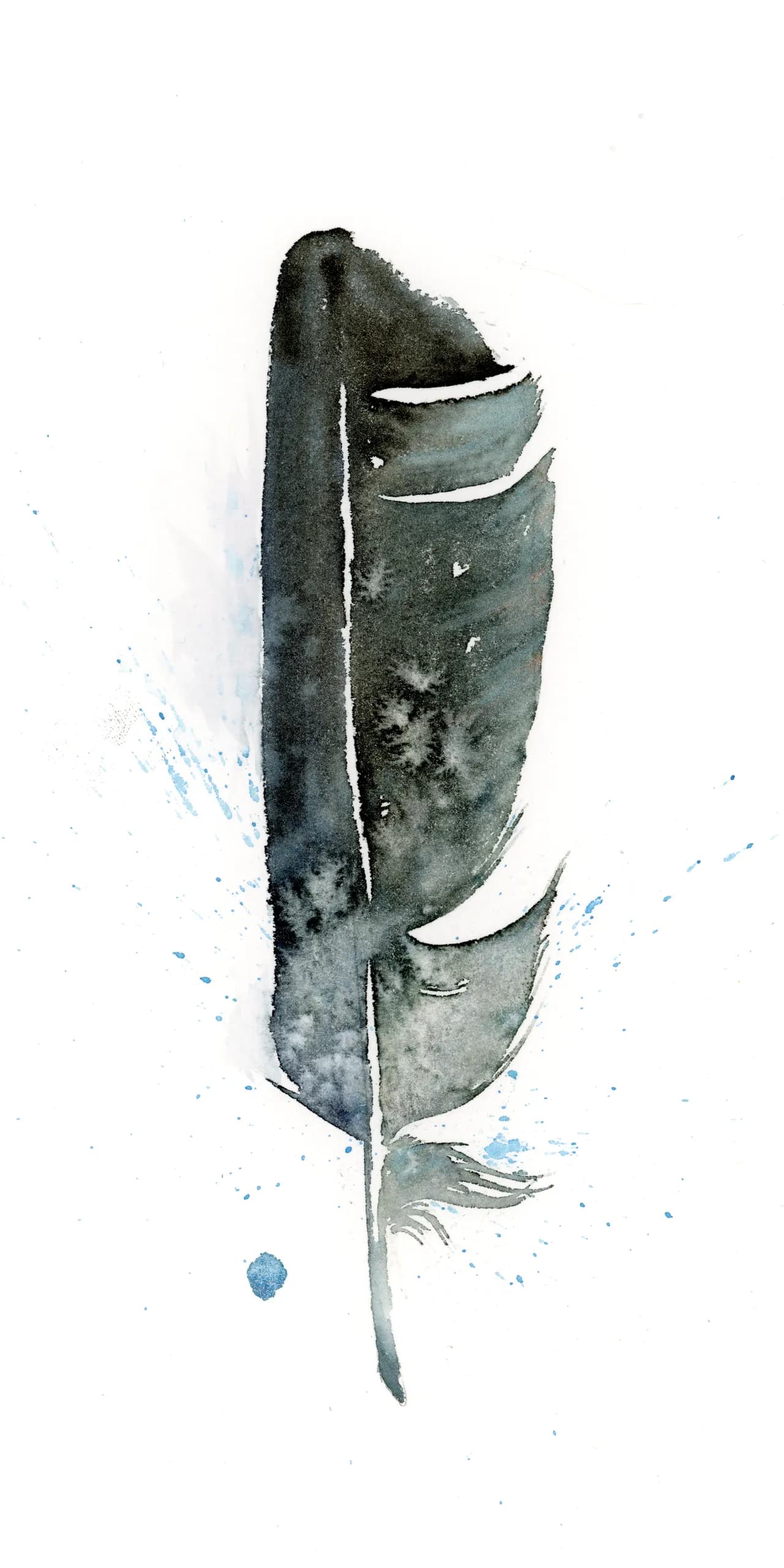 Black Crow — watercolor by Shayna Larsen