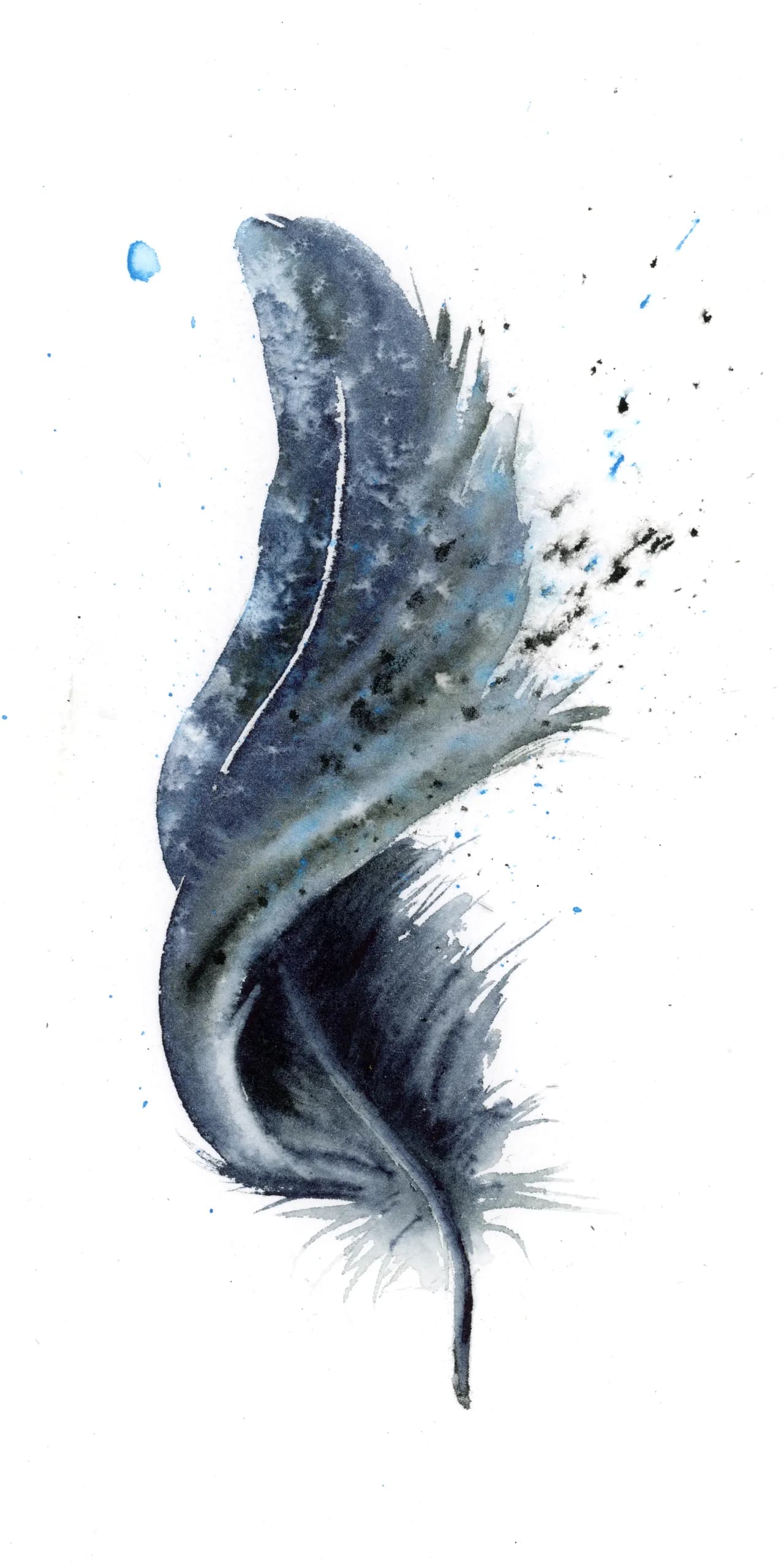 Raven — watercolor by Shayna Larsen