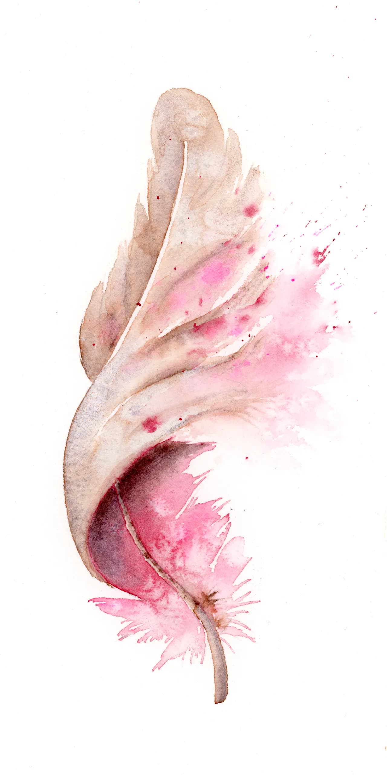 Female Cardinal — watercolor by Shayna Larsen