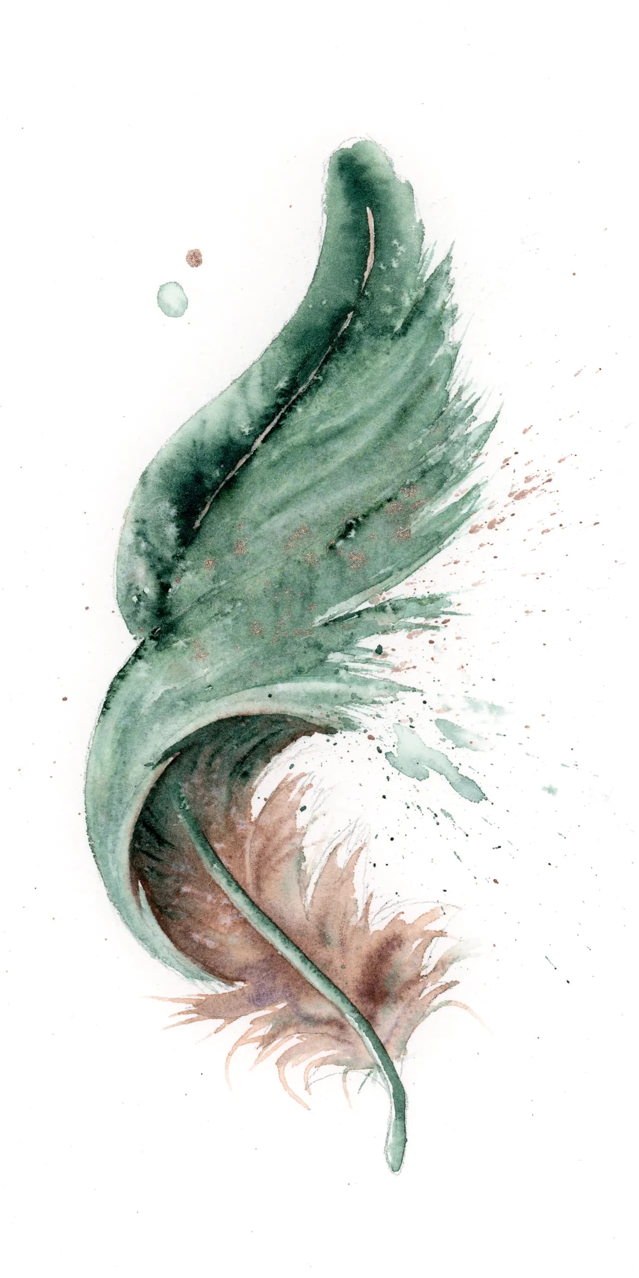 Peacock — watercolor by Shayna Larsen
