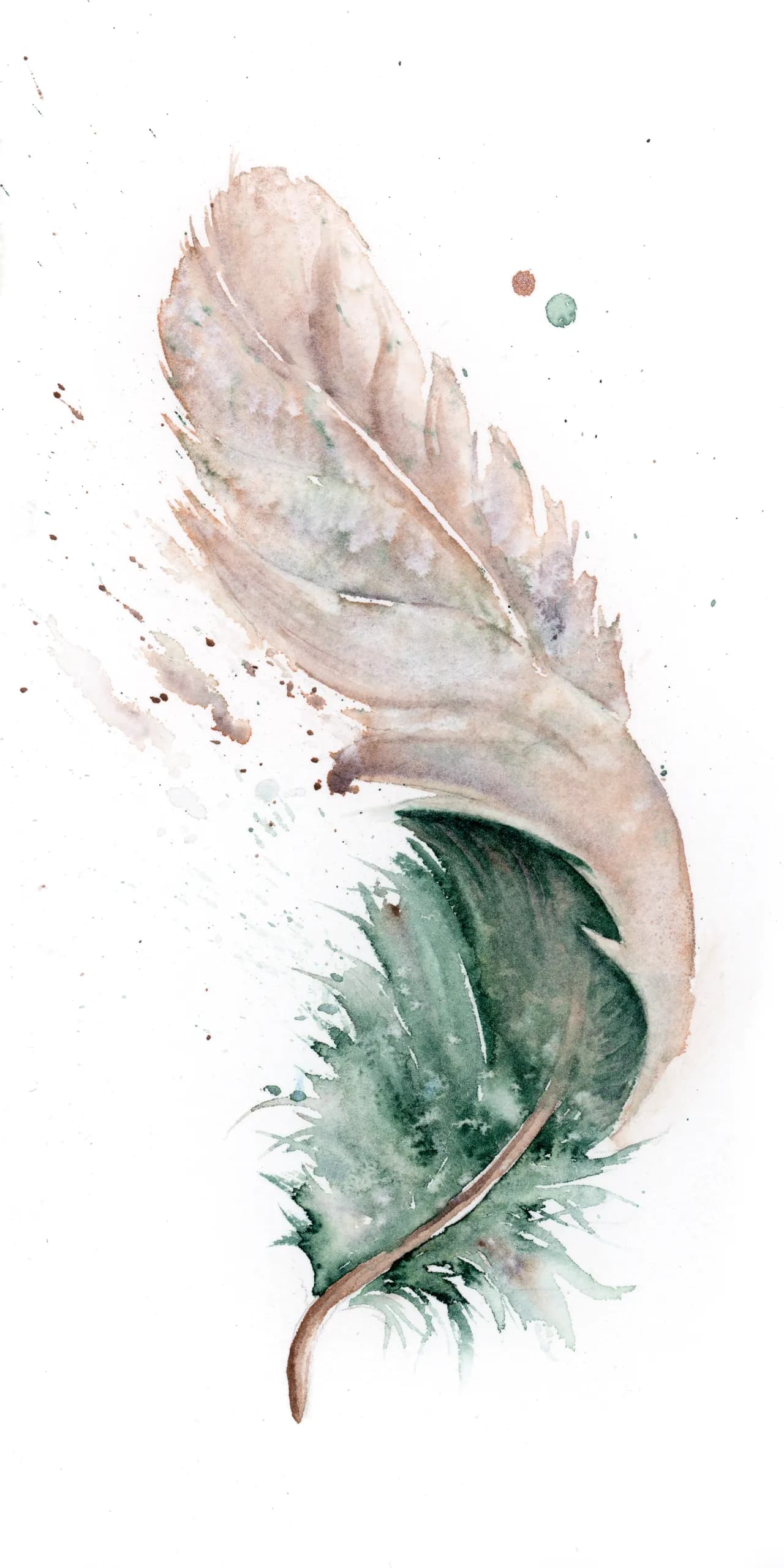 Duck — watercolor by Shayna Larsen