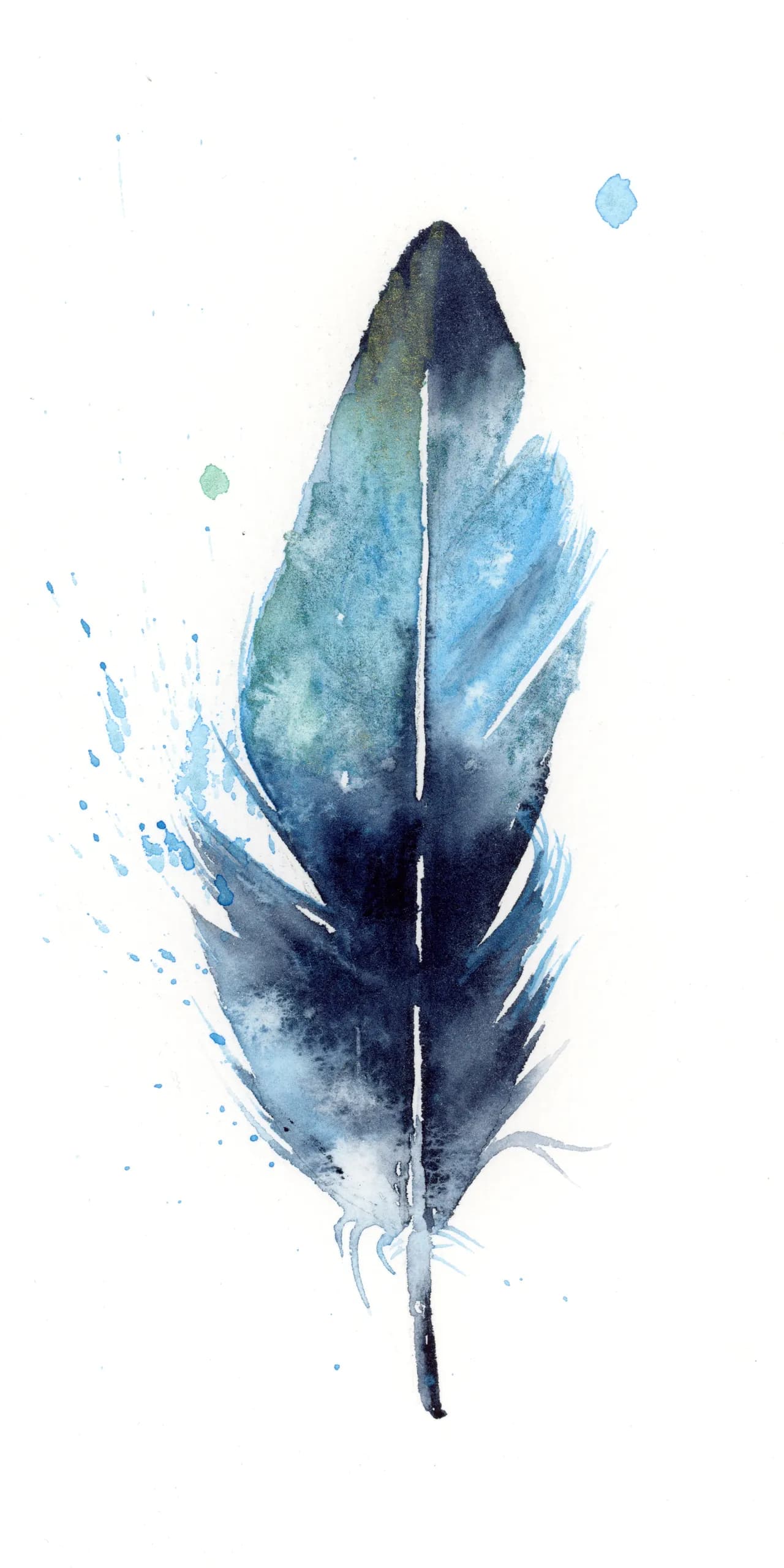 Magpie — watercolor by Shayna Larsen