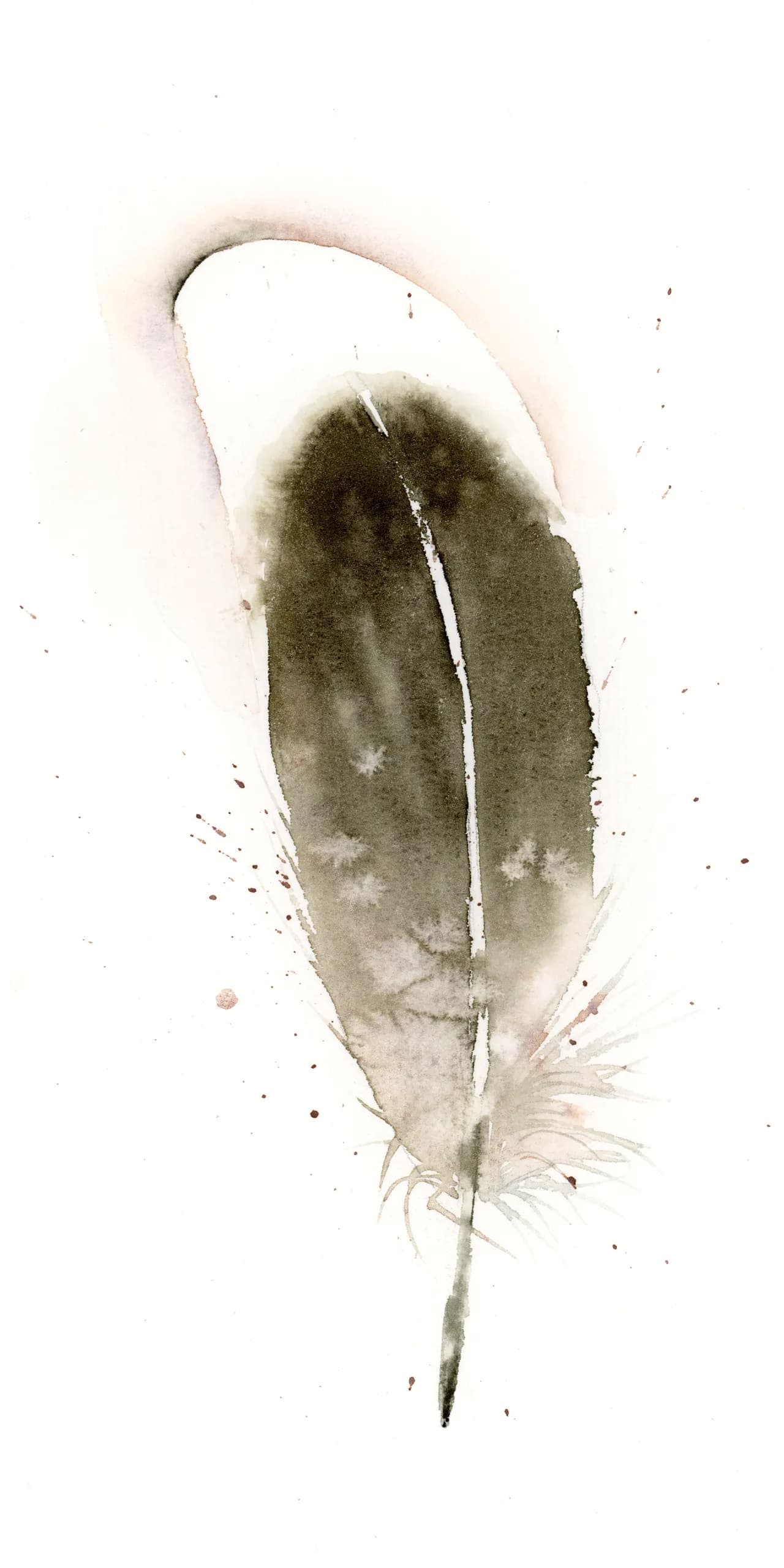 Canada Goose — watercolor by Shayna Larsen
