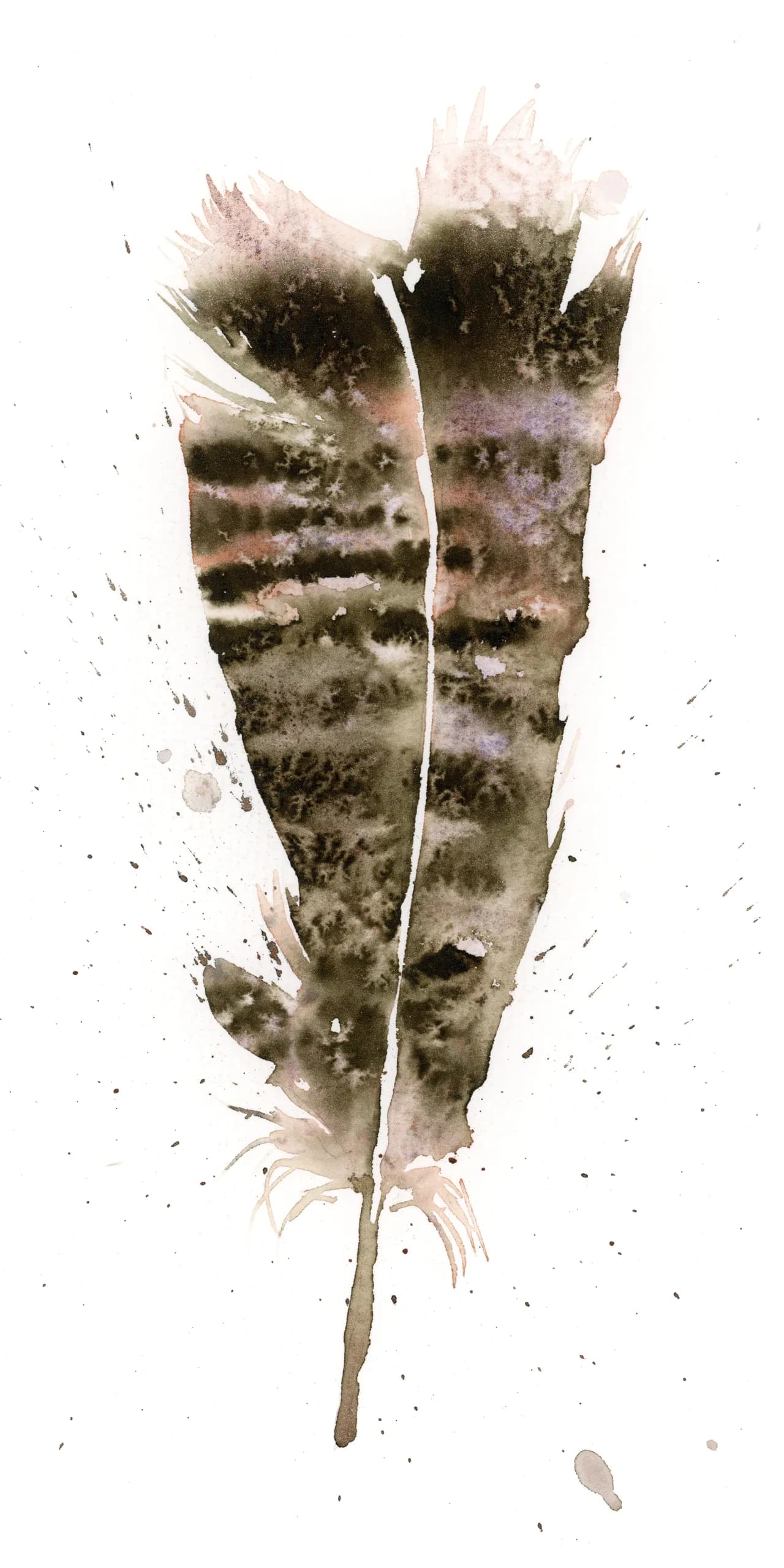 Turkey — watercolor by Shayna Larsen