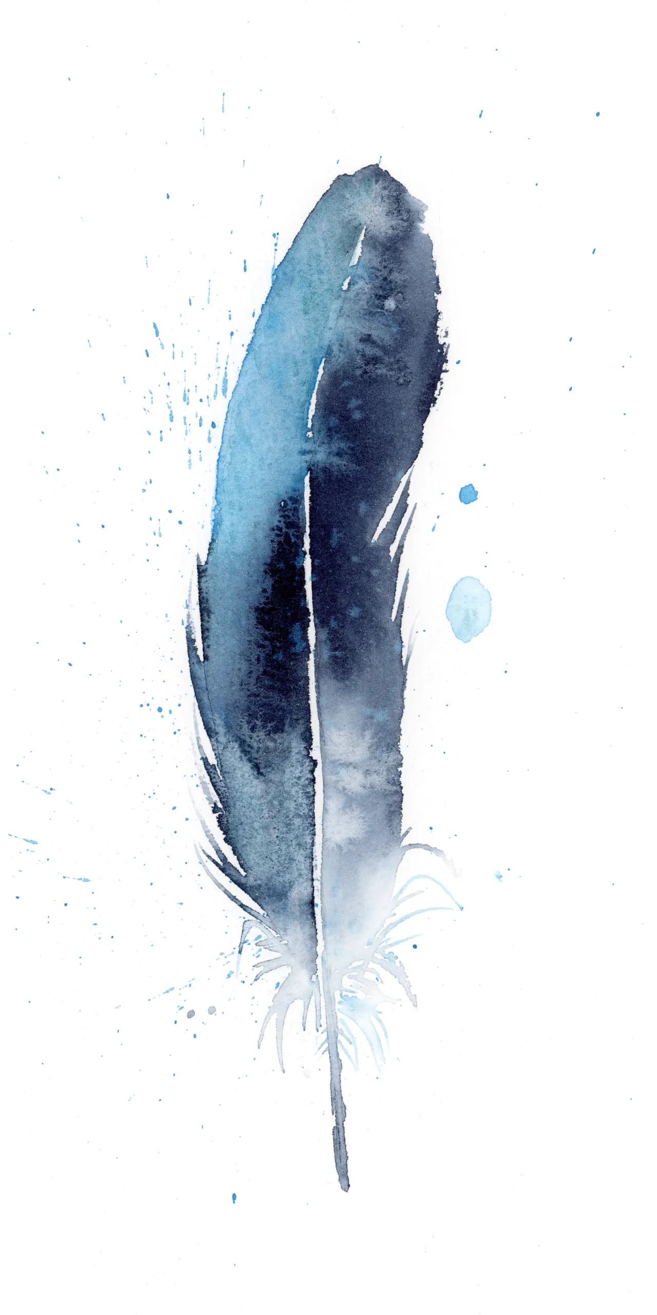 Magpie — watercolor by Shayna Larsen