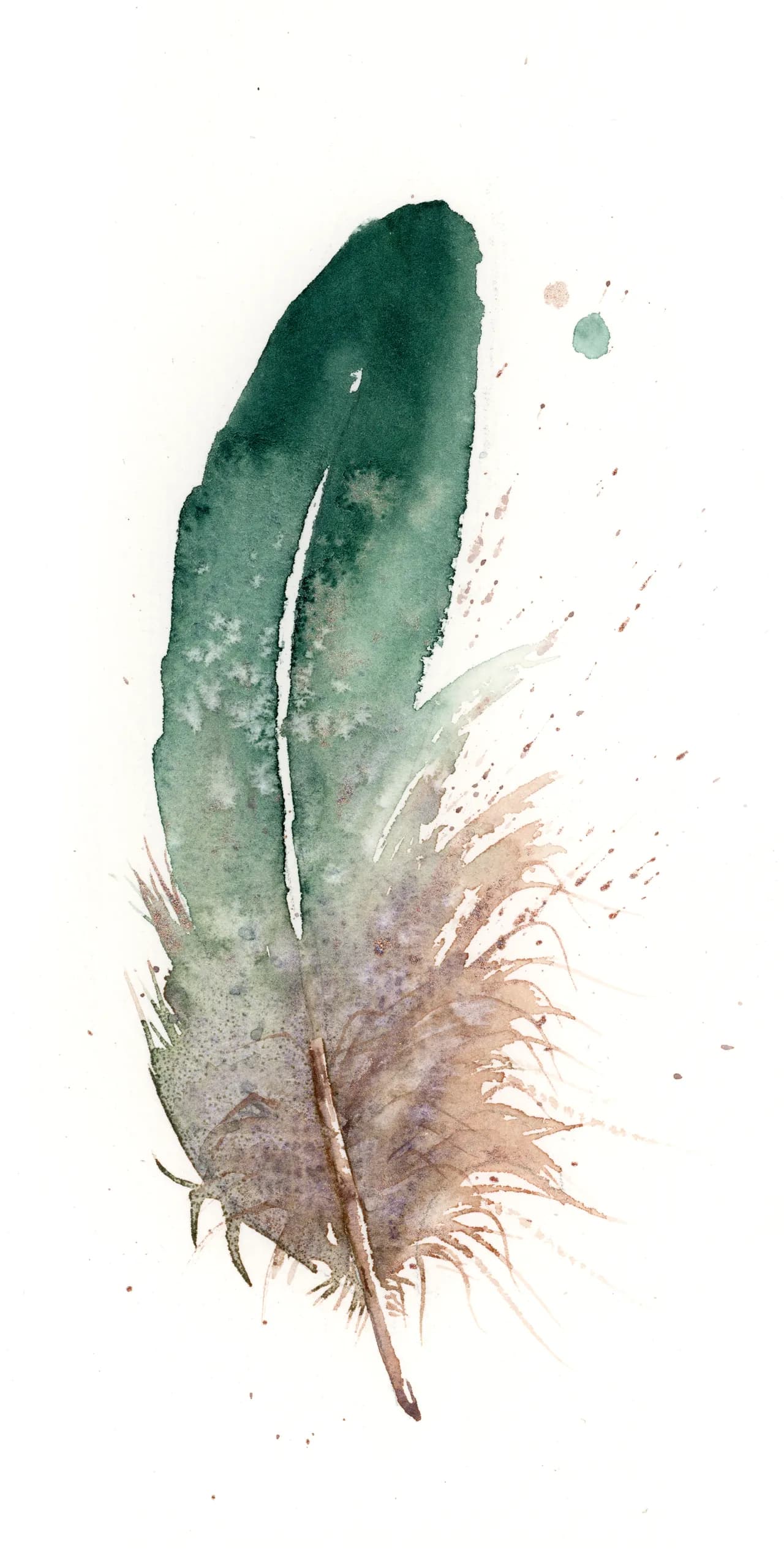 Great Blue Heron — watercolor by Shayna Larsen