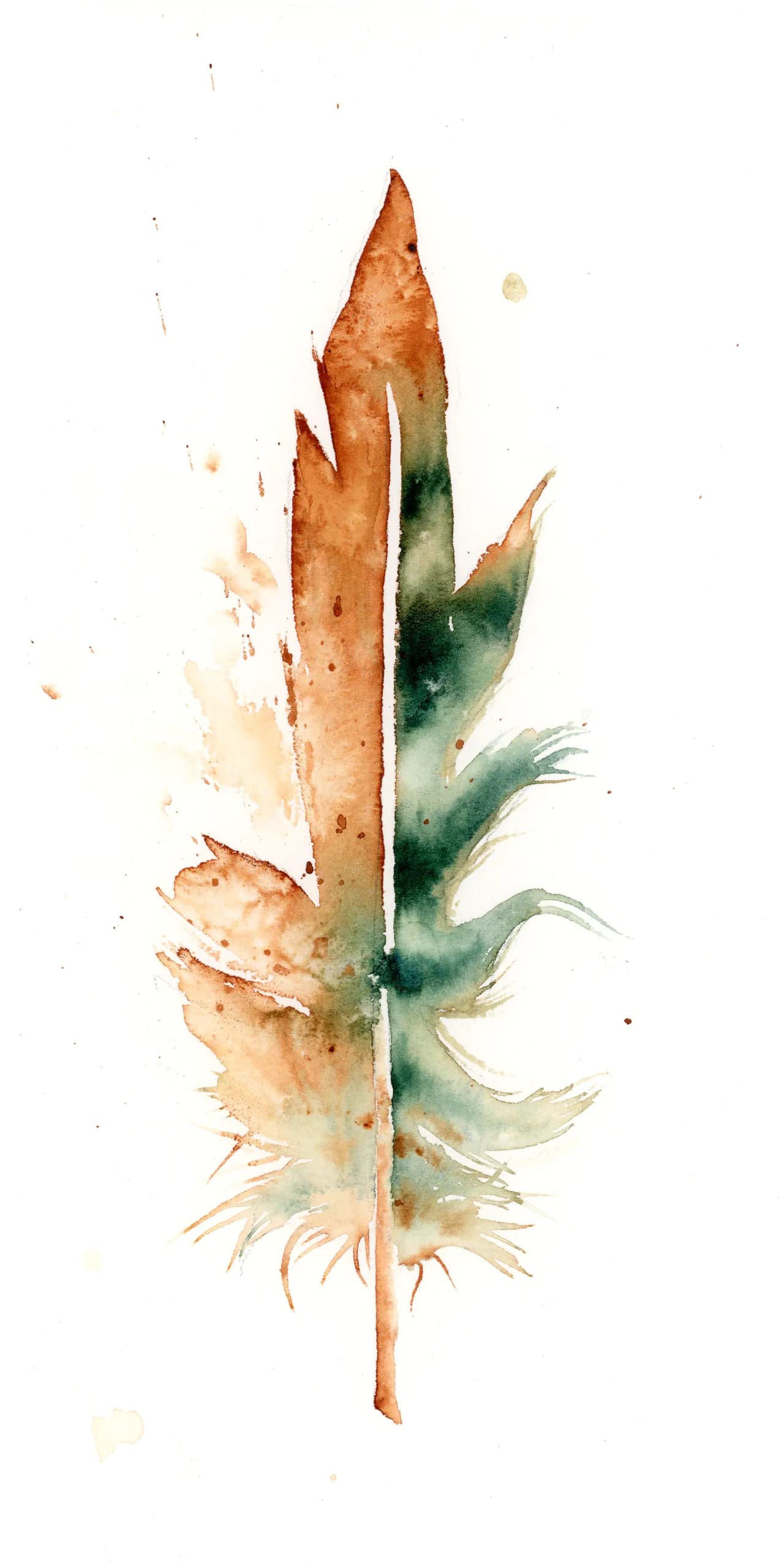 Green-winged Macaw — watercolor by Shayna Larsen