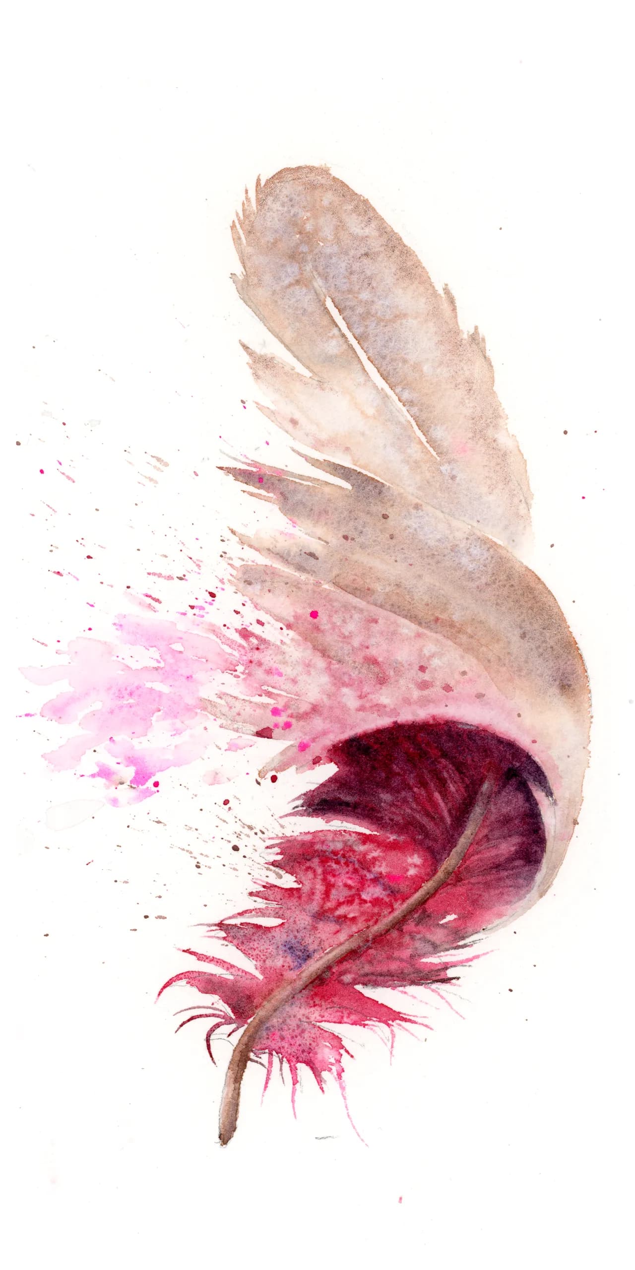 Female Cardinal — watercolor by Shayna Larsen