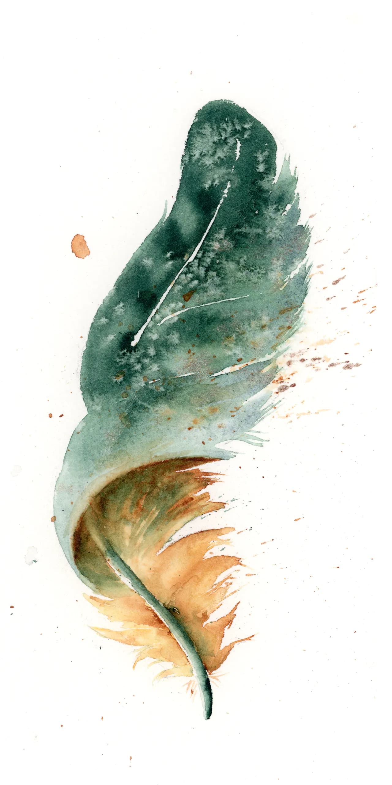 Green Macaw — watercolor by Shayna Larsen