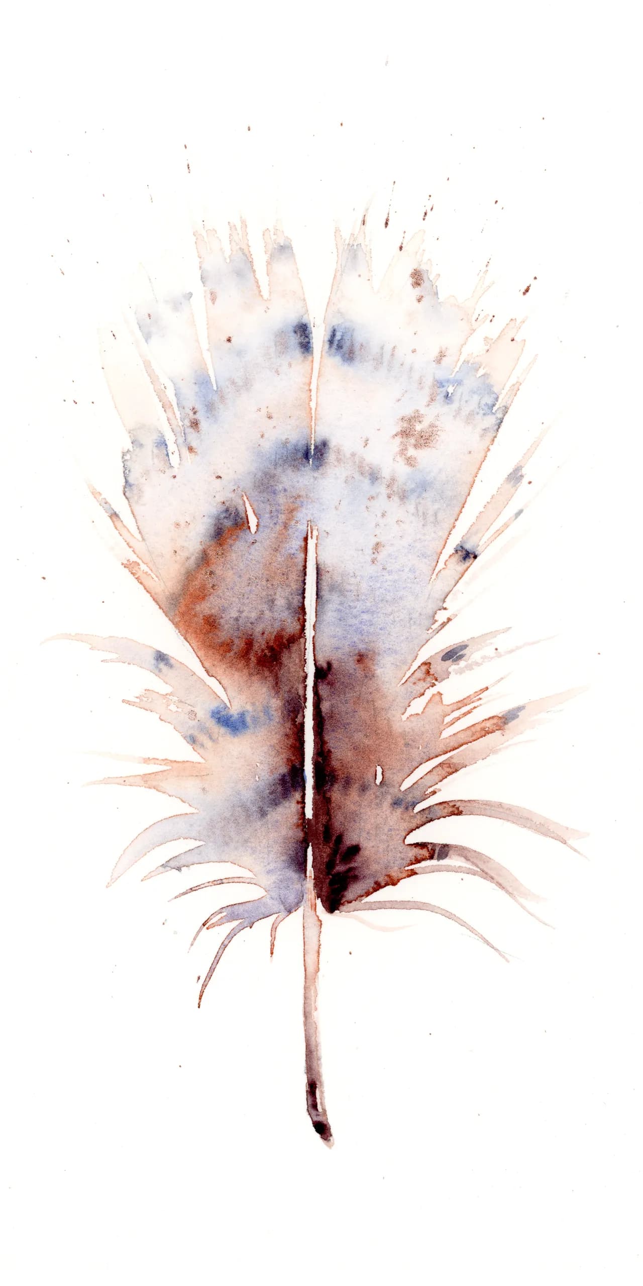 American Kestrel — watercolor by Shayna Larsen
