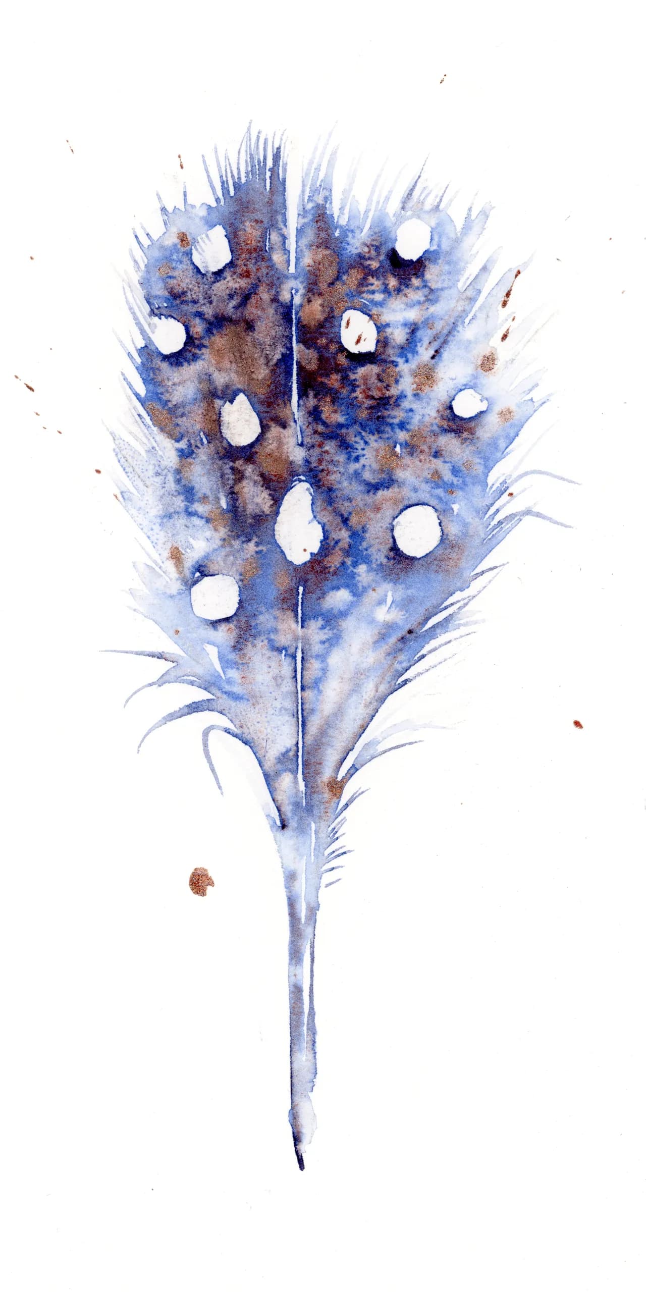 Peacock — watercolor by Shayna Larsen