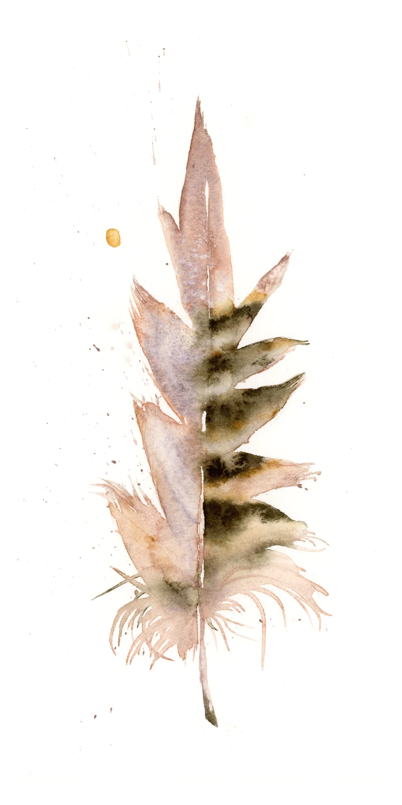 Pheasant — watercolor by Shayna Larsen