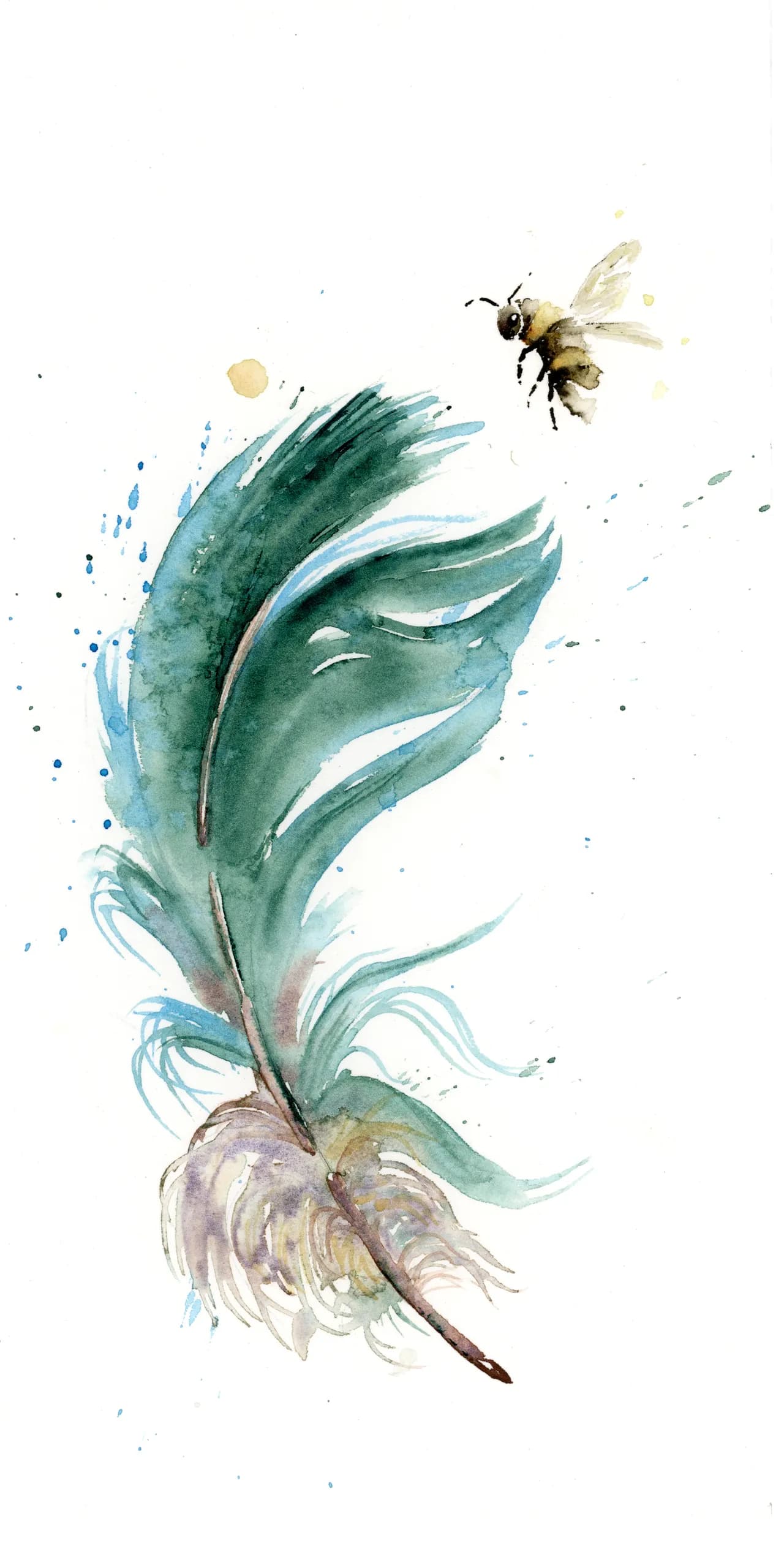 Parrot — watercolor by Shayna Larsen