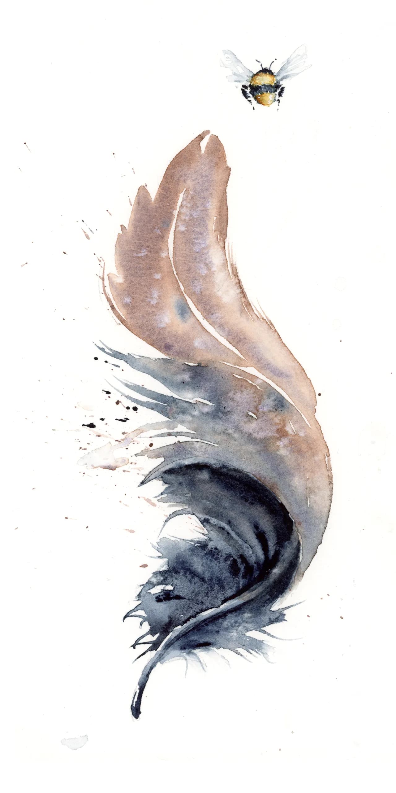 American Crow — watercolor by Shayna Larsen