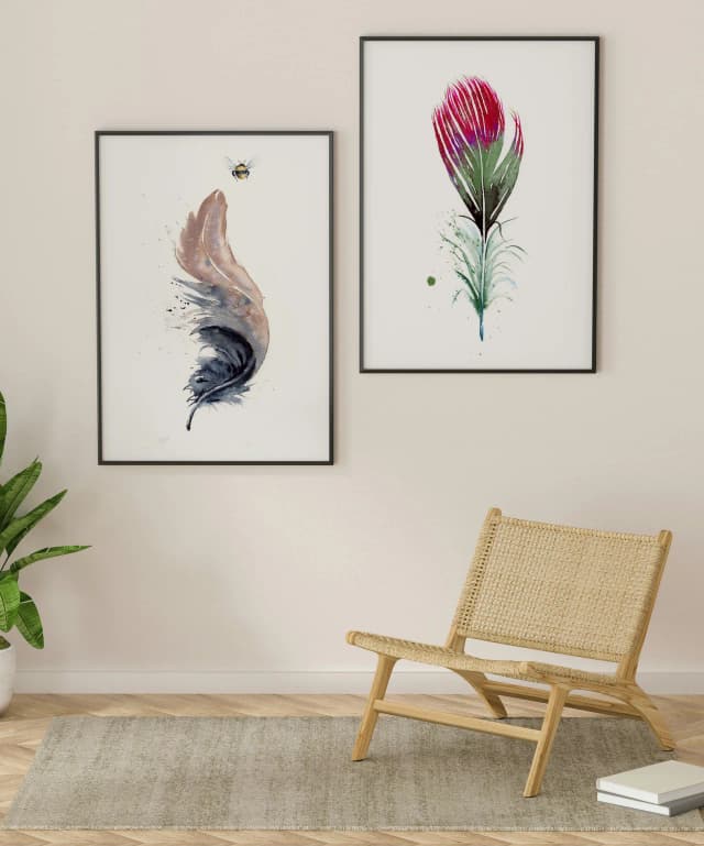 American Crow shown in a room setting