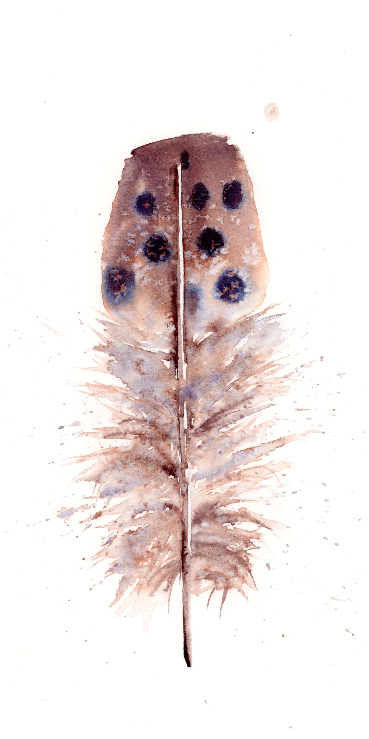 Banded Pita — watercolor by Shayna Larsen