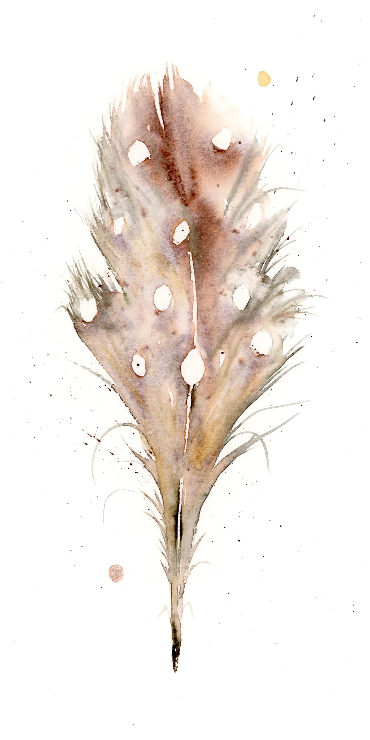 Screech Owl — watercolor by Shayna Larsen