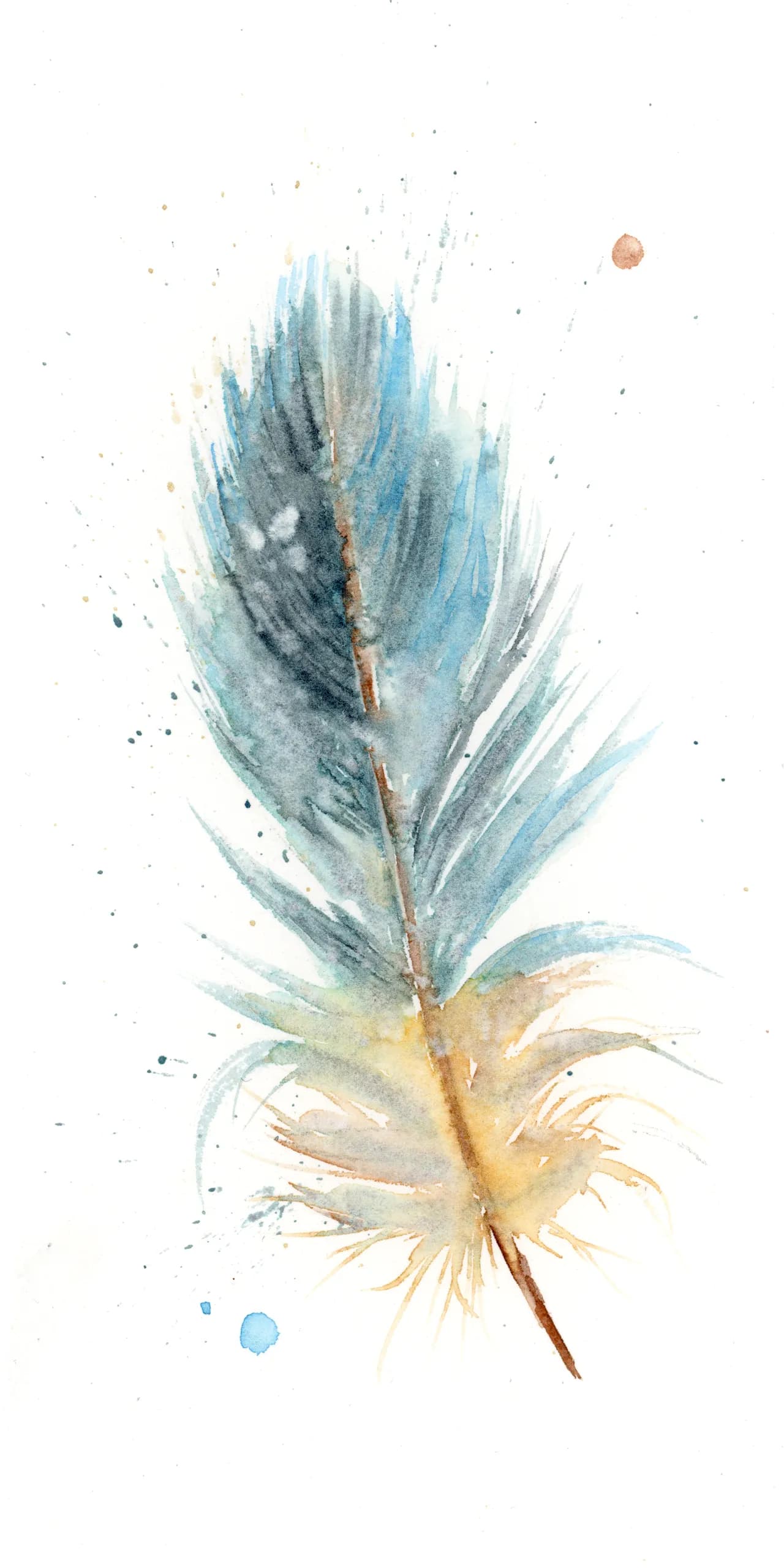 Blue Jay — watercolor by Shayna Larsen
