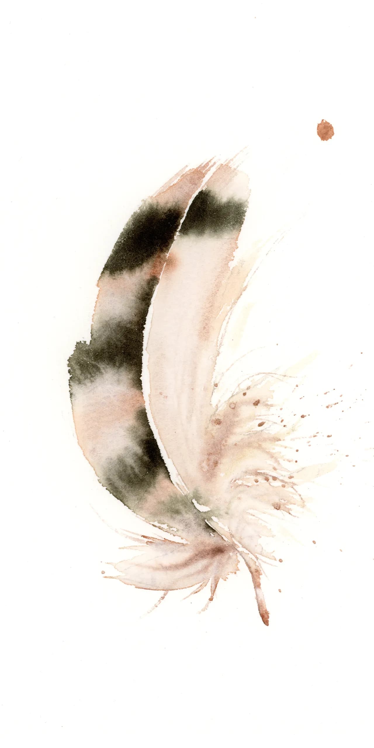 Kestrel — watercolor by Shayna Larsen