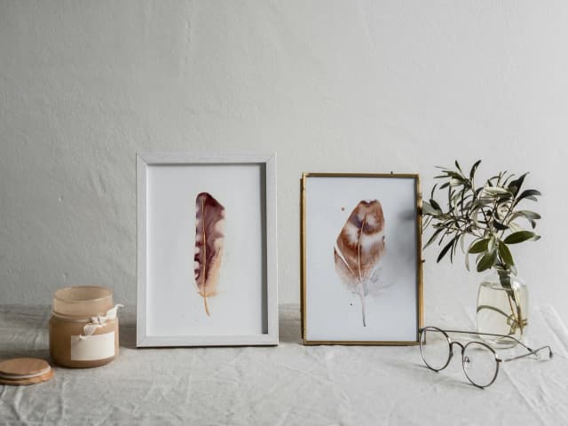 Barn Owl shown in a room setting