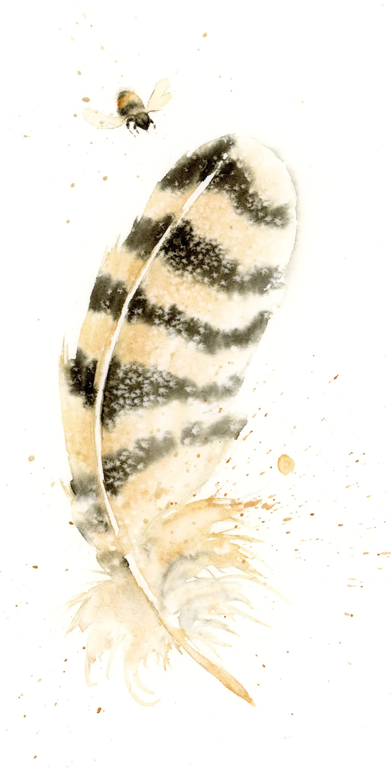 Owl — watercolor by Shayna Larsen