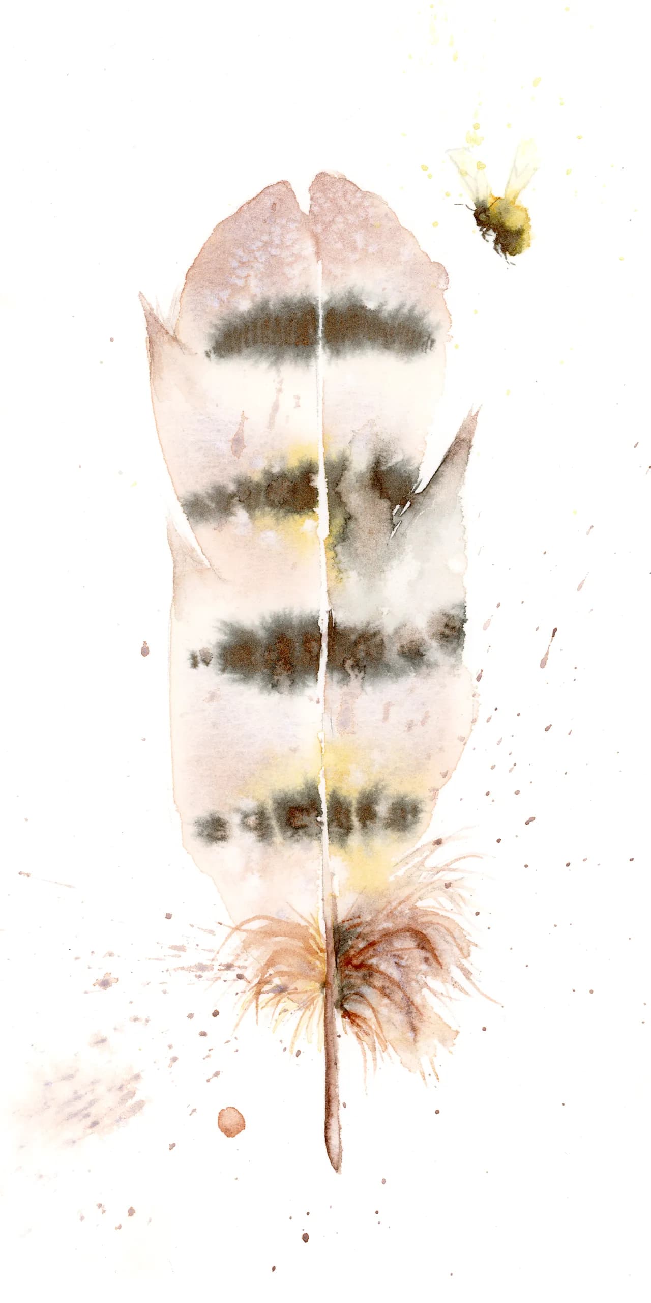 Owl — watercolor by Shayna Larsen