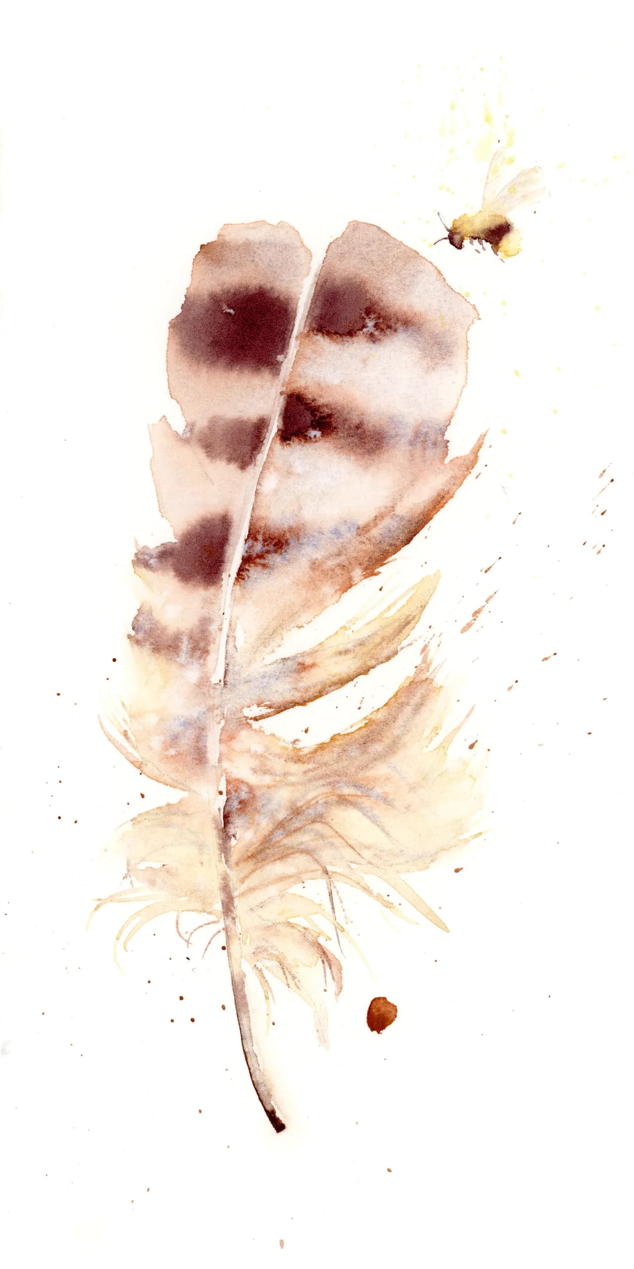 Owl — watercolor by Shayna Larsen