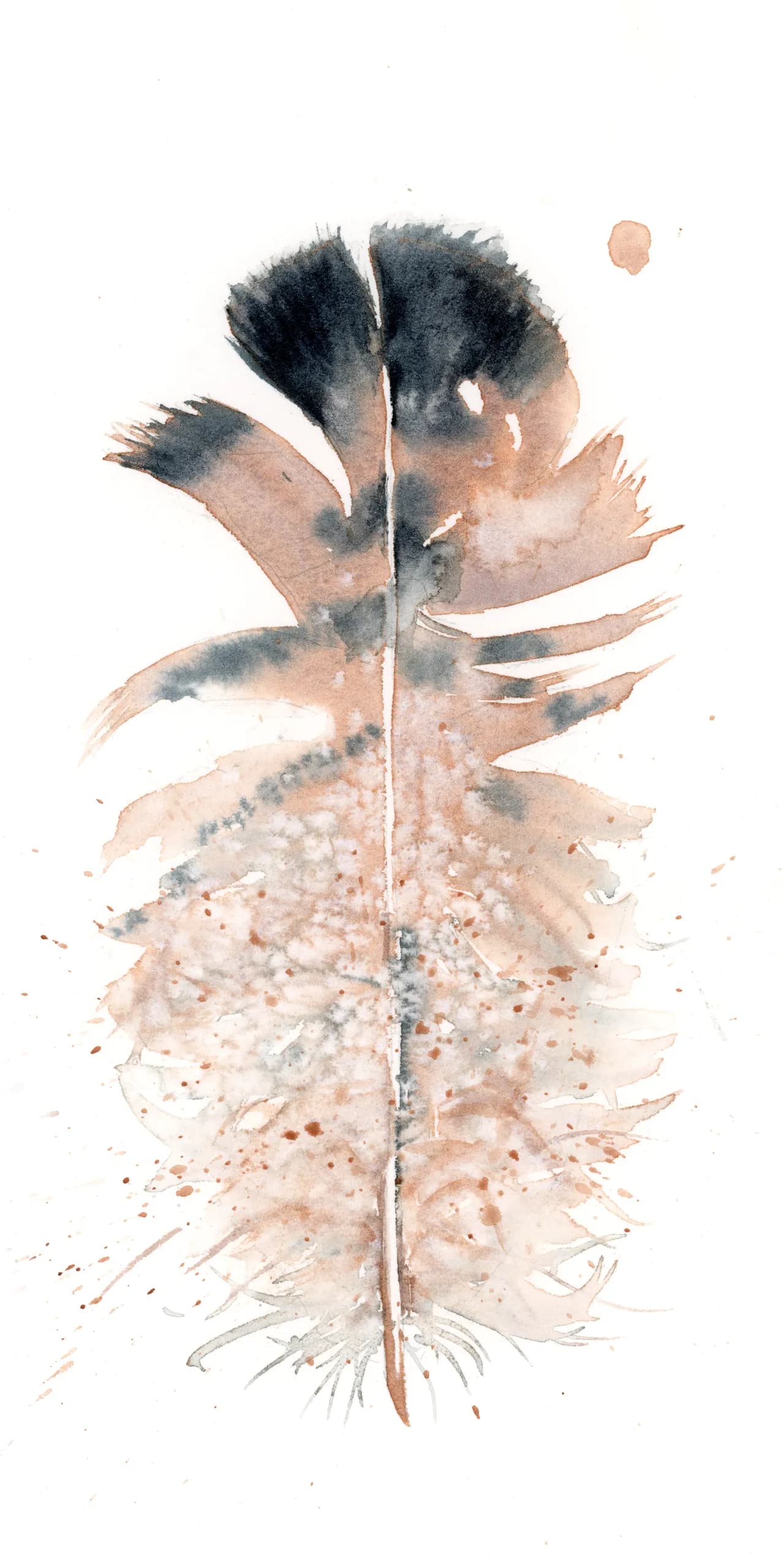 Owl — watercolor by Shayna Larsen