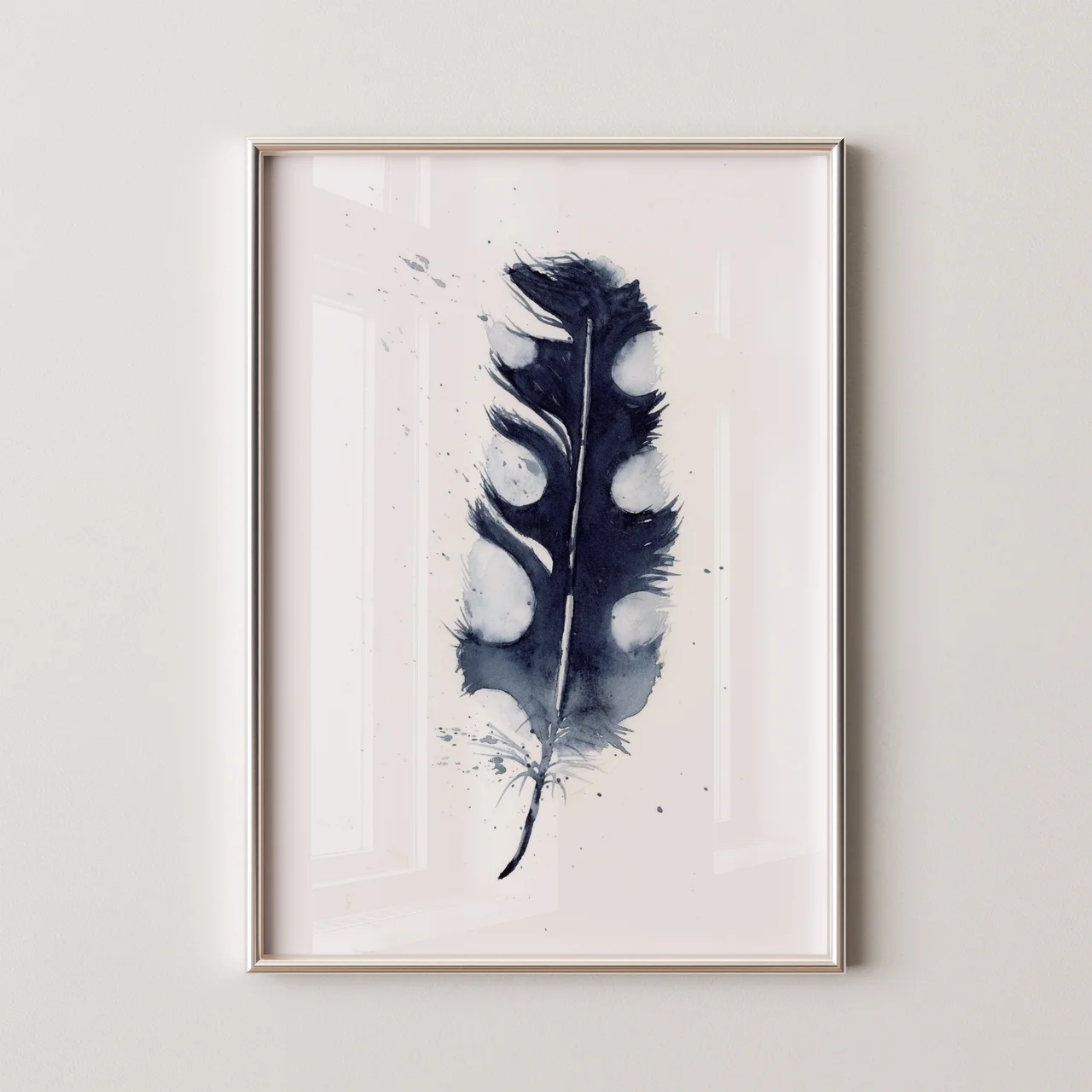 Pied Crow shown in a room setting