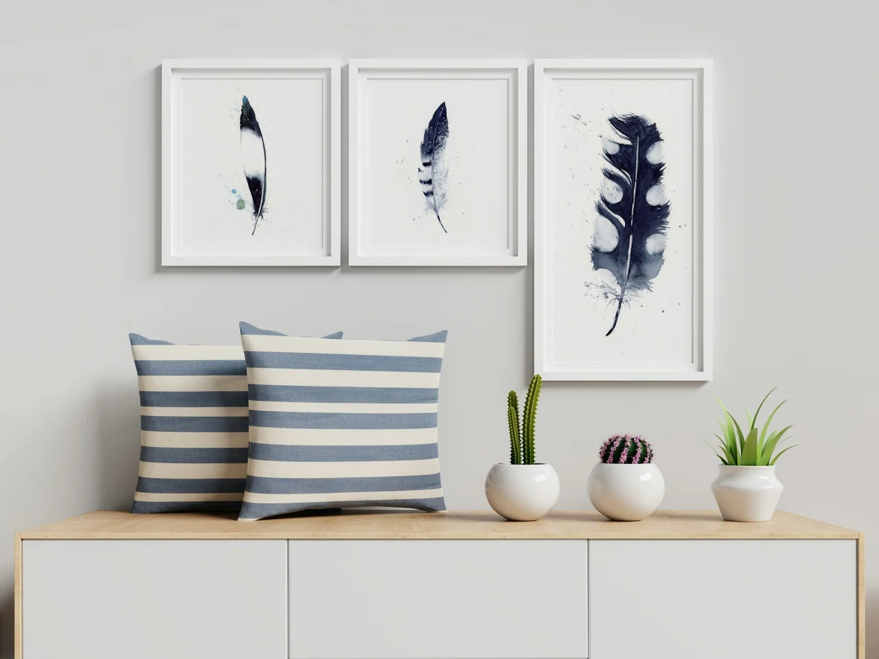Pied Crow shown in a room setting